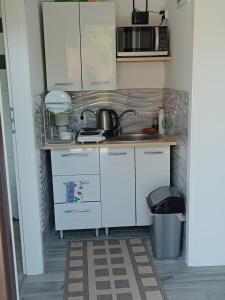 een kleine keuken met een wastafel en een magnetron bij Staś-przy szkole nr3 w Skawie in Skawa