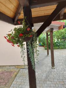 Gallery image of Rowerowy Zakątek in Ustrzyki Dolne