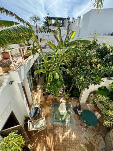 Сад в RIAD OASIS D'ASILAH