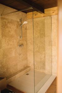 a shower with a glass door in a bathroom at Casa Vatra Sinteului - Cu sala de evenimente de capacitate mare - Se inchiriaza integral in Socet +37 photos