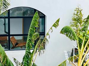 Сад в RIAD OASIS D'ASILAH
