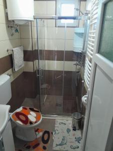 Apartmani Lale i Rada : حمام مع مرحاض مع دش زجاجي