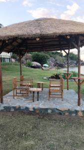 Jardín al aire libre en Joma Adventure Lodge