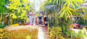 un jardín con palmeras y una casa en Coorg Dew Drops Resort, en Kushālnagar