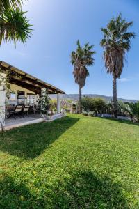 ein offener Hof mit Palmen und einem Haus in der Unterkunft Paradiso Vintage Villa: Traditional 1944 Gem in Amanioú