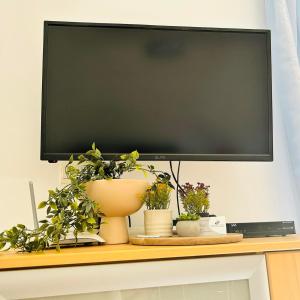 TV a/nebo společenská místnost v ubytování Central Complex Apartments , Delta Hospitality