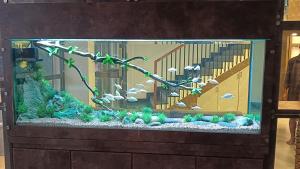 Gallery image of Sreeja Myst in Athirappilly