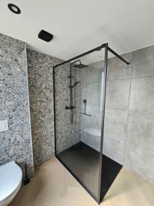 a glass shower in a bathroom with a toilet at Ybizee in Yerseke