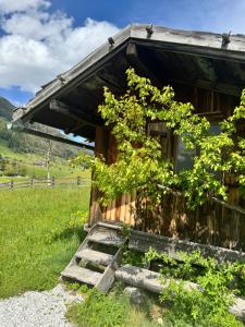 Zahrada ubytování Haus Ilmer