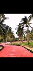 a red carpet road with palm trees in the background at Koh RhongSunshine Resort2 in Phumĭ Kaôh Rŏng