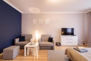TV a/nebo společenská místnost v ubytování Apartamenty przy Parku