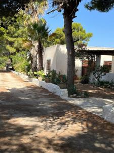 Κήπος έξω από το VILLETTA OASI