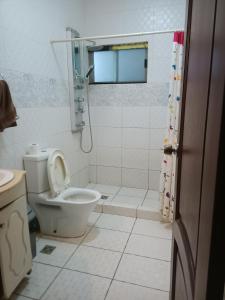 ein Bad mit einem WC und einer Dusche in der Unterkunft The Honey Moon in Santa Cruz de la Sierra