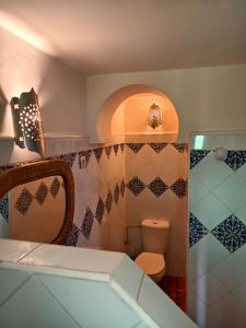 a bathroom with a toilet and a shower at Dar Nadia in El Jadida