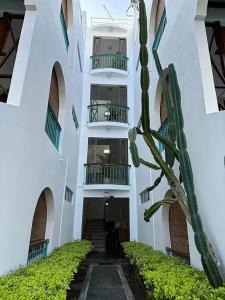 a white building with a palm tree in front of it at Apartment with sea view in Blue Bay, 125 m², near beach in Blue Bay +7 photos