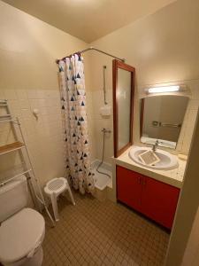 a bathroom with a sink and a toilet and a mirror at Le D'Artagnan - App 9 - Balcon in Cazaubon