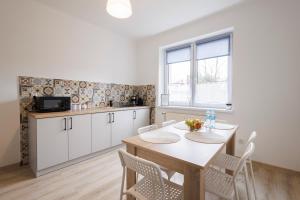 Kuchyň nebo kuchyňský kout v ubytování Apartamenty przy Parku