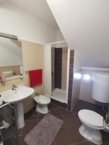La salle de bains est pourvue d'un lavabo, de toilettes et d'une douche. dans l'établissement Ferienhaus in Mala Huba mit Privatem Pool, à Buzet