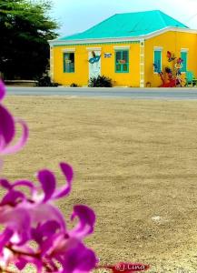 a yellow house with a blue roof and purple flowers at Quiet and cozy cunuco guesthouse in Savaneta in Savaneta