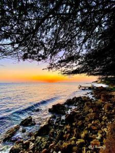 - un coucher de soleil sur l'océan et une plage rocheuse dans l'établissement Quiet and cozy cunuco guesthouse in Savaneta, à Savaneta