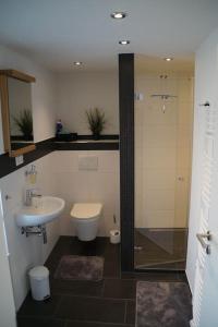 a bathroom with a shower and a toilet and a sink at Ferienwohnung Sigwart in Efringen-Kirchen
