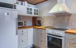 Fotografie z fotogalerie ubytování Gorgeous Home In Orsa With Kitchen v destinaci Orsa