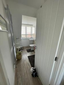 a bathroom with a toilet and a cat sitting on the floor at Smith's Loft in Chichester