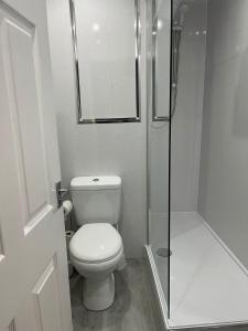 a small bathroom with a toilet and a shower at Largs Apartment, Spacious & Modern 1 Bed near beach & shops in Largs