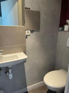 Un baño con un inodoro blanco y un lavabo. en T2 centre ville avec vue imprenable, en Chambéry