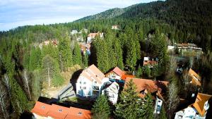 an aerial view of a house in the middle of a forest at Vila Wiese Poiana Brasov in Braşov