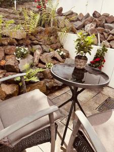 a glass table with two chairs and plants on a patio at Flughafennahe 100 qm Oase mit eigenem Fitnessraum in Holzwickede