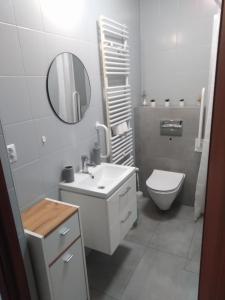 a bathroom with a sink and a toilet and a mirror at Przytulne Mieszkanko Centrum in Mrągowo