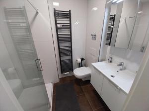 a bathroom with a toilet and a sink and a shower at Homburger 14 in Neunkirchen