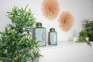 drie flessen op een plank met planten bij Inviting - Douro Vista Apartments in Valbom