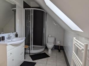 ein Bad mit einer Dusche, einem WC und einem Waschbecken in der Unterkunft Maison dans belle longère - La Serrerie in Thenay