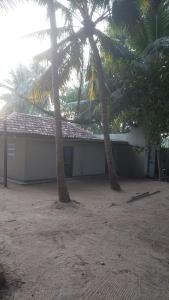 a house with two palm trees in front of it at House near main temple in Batticaloa