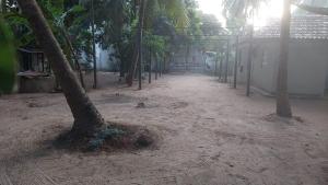 a dirt road with palm trees and a building at House near main temple in Batticaloa