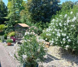 un giardino con fiori bianchi e un gazebo di Gîte du Solnan a Villemotier