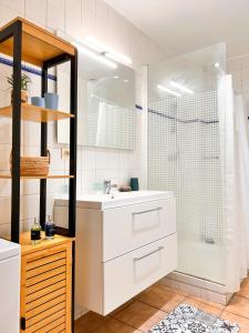 La salle de bains est pourvue d'un lavabo et d'une douche. dans l'établissement Spacieux et lumineux, idéal T4 en centre ville, à Perpignan