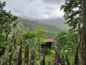 Paesaggio naturale nelle vicinanze di questo campeggio di lusso
