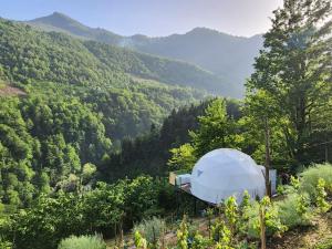 ein weißes Kuppelzelt mitten im Tal in der Unterkunft Glamping Machakhela in Ch'ik'unet'i