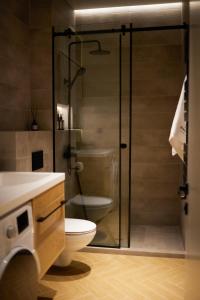 y baño con aseo y ducha acristalada. en BARBAR APART HOTEL, en Gyumri