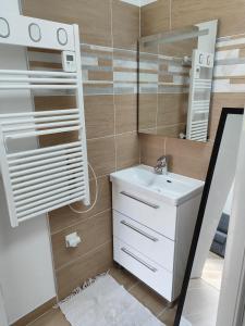 uma casa de banho com um lavatório e um espelho em studio independant avec jardin au calme em Neuilly-Plaisance