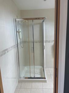 a shower with a glass door in a bathroom at Reenconnell Dingle in Dingle
