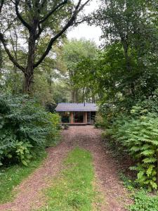 Gallery image of huisje in het bos in Zuidlaren