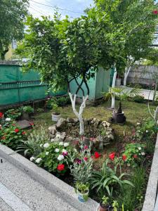 a garden with flowers and a tree in the middle at host N1 in Kutaisi