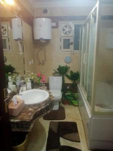 カイロにあるريف الهرمの洗面台とトイレ付きのバスルーム