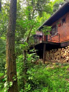 a log cabin with a deck and a pile of wood at Prirodna oaza Brvnare Platan in Vrdnik
