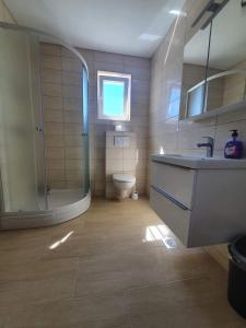 uma casa de banho com um chuveiro, um lavatório e um WC. em Apartmani Franka em Privlaka