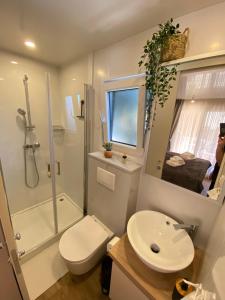 a bathroom with a toilet and a shower and a sink at Mobile Home Anja in Biograd na Moru